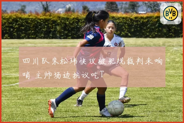 四川队朱松玮快攻被犯规裁判未响哨 主帅场边抗议吃T
