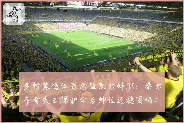 多特蒙德体育总监凯尔辞职，泰尔齐奇失去保护伞后帅位还稳固吗？