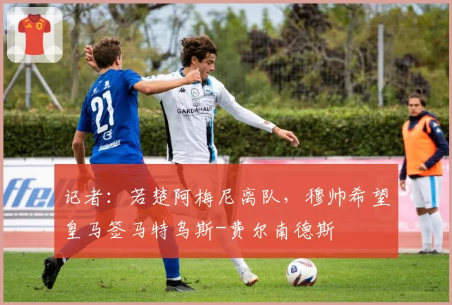 记者：若楚阿梅尼离队，穆帅希望皇马签马特乌斯-费尔南德斯